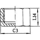 Hex Cap Stainless Steel Fittings