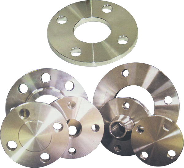 Stainless Steel Flanges