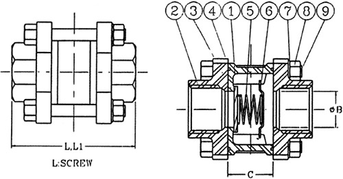 Stainless Steel Spring Valves